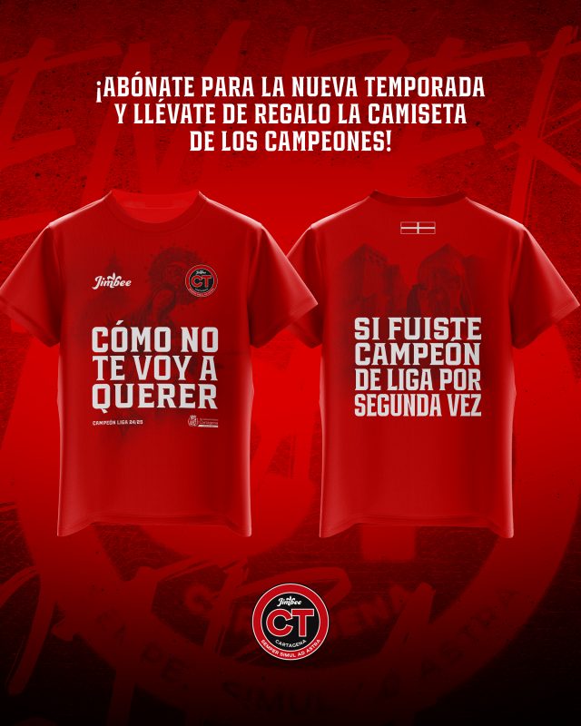 Camiseta 2 640x800[1]